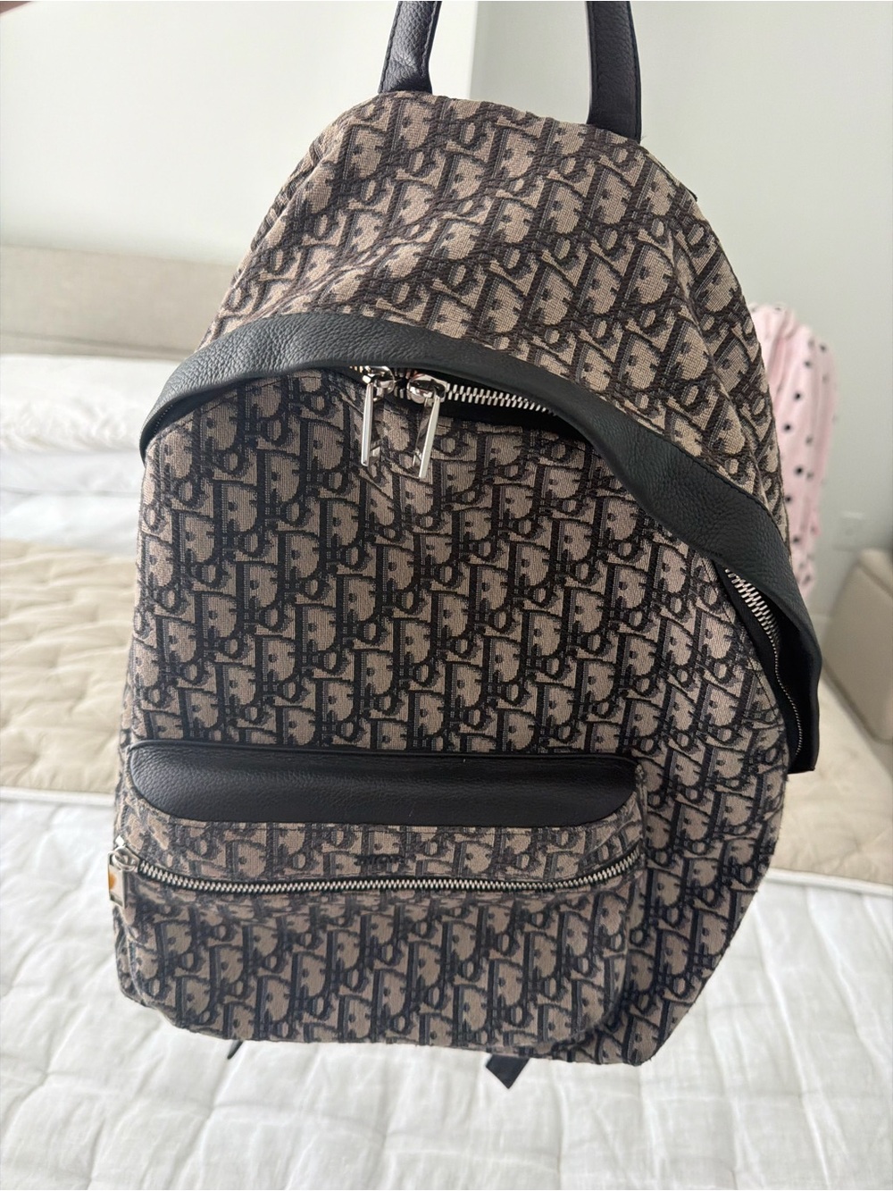 Dior Brown and Black Monogram Backpack